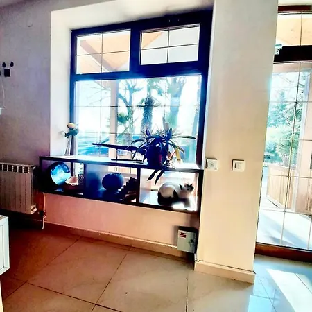 Vendégház Vila Miluna Mamaia