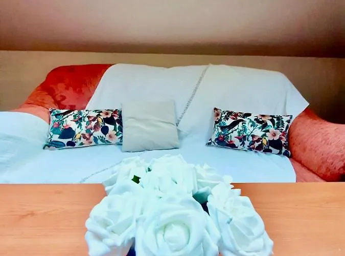 Vila Miluna Affittacamere Mamaia