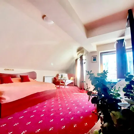 Pensiune Vila Miluna 3*